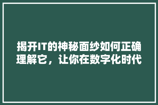 揭开IT的神秘面纱如何正确理解它，让你在数字化时代如鱼得水 项目报告