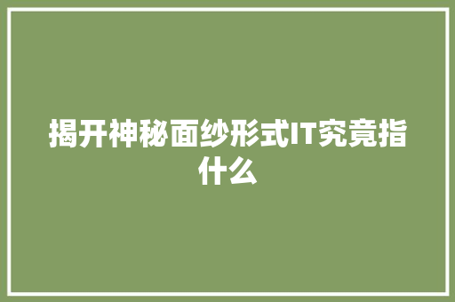 揭开神秘面纱形式IT究竟指什么