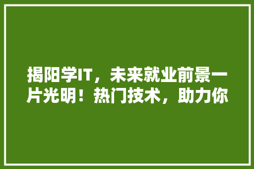 揭阳学IT，未来就业前景一片光明！热门技术，助力你的职业发展
