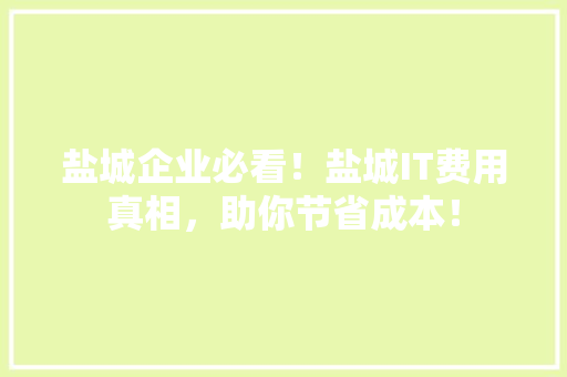 盐城企业必看！盐城IT费用真相，助你节省成本！