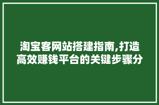 淘宝客网站搭建指南,打造高效赚钱平台的关键步骤分析 商务信函