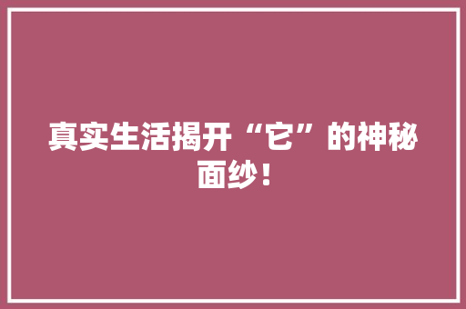 真实生活揭开“它”的神秘面纱！ 前端技术