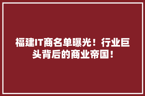 福建IT商名单曝光！行业巨头背后的商业帝国！