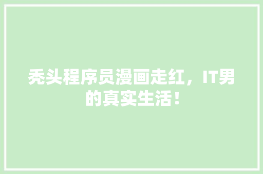 秃头程序员漫画走红，IT男的真实生活！ 响应式设计
