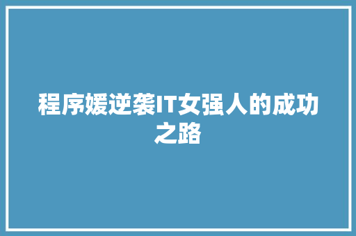 程序媛逆袭IT女强人的成功之路 市场营销范文
