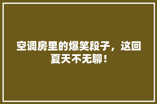 空调房里的爆笑段子，这回夏天不无聊！