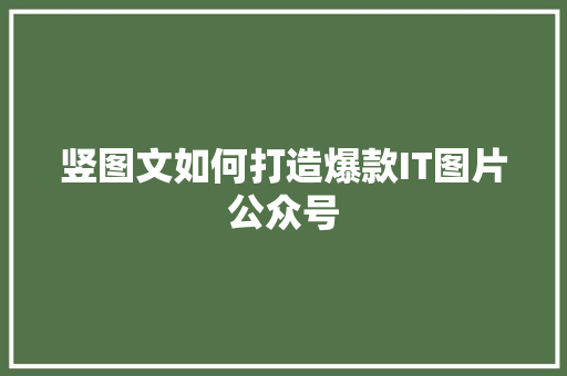 竖图文如何打造爆款IT图片公众号 后端技术