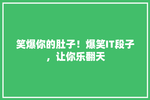 笑爆你的肚子！爆笑IT段子，让你乐翻天