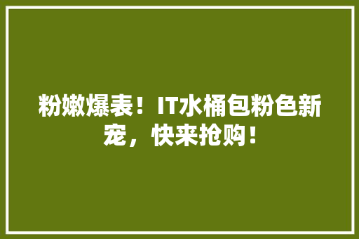粉嫩爆表！IT水桶包粉色新宠，快来抢购！