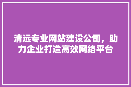 清远专业网站建设公司，助力企业打造高效网络平台