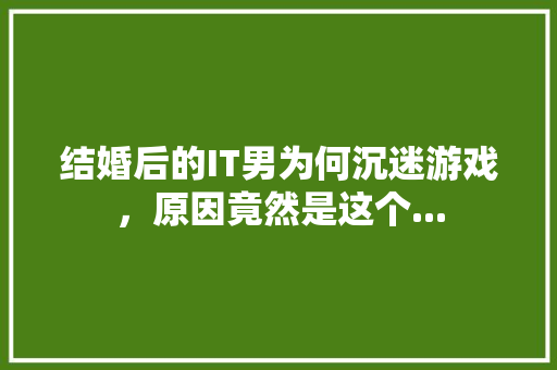 结婚后的IT男为何沉迷游戏，原因竟然是这个...