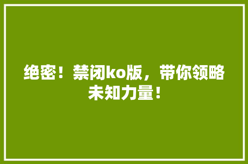 绝密！禁闭ko版，带你领略未知力量！