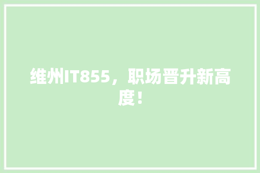 维州IT855，职场晋升新高度！