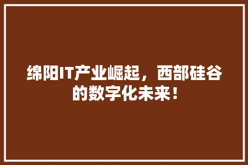 绵阳IT产业崛起，西部硅谷的数字化未来！