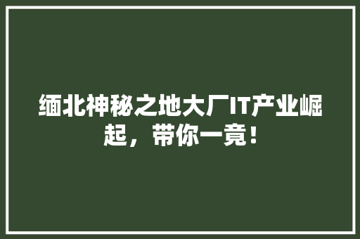 缅北神秘之地大厂IT产业崛起，带你一竟！