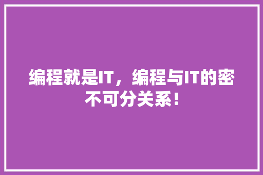 编程就是IT，编程与IT的密不可分关系！ 网站建设