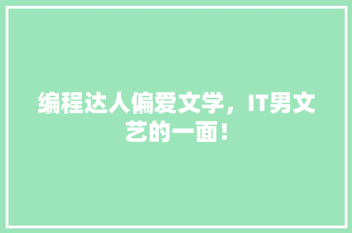 编程达人偏爱文学，IT男文艺的一面！ 缓存Redis