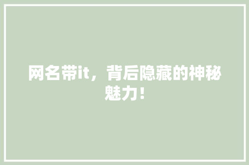 网名带it，背后隐藏的神秘魅力！ 项目报告