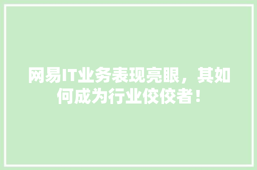 网易IT业务表现亮眼，其如何成为行业佼佼者！