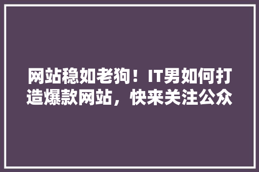 网站稳如老狗！IT男如何打造爆款网站，快来关注公众号获取方法 MySQL