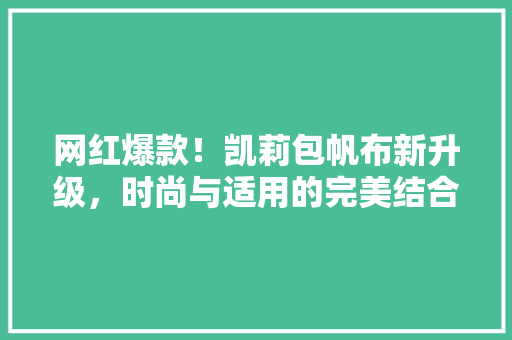 网红爆款！凯莉包帆布新升级，时尚与适用的完美结合！