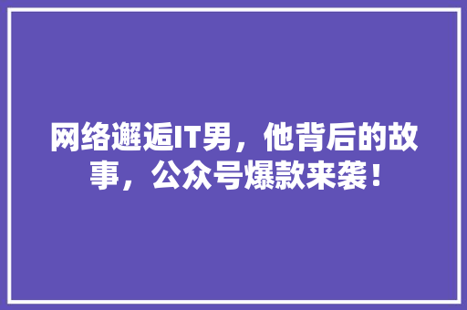 网络邂逅IT男，他背后的故事，公众号爆款来袭！ 前端技术