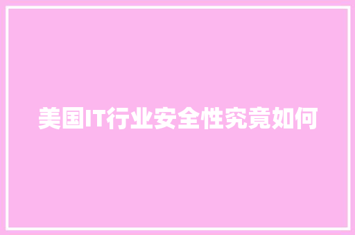 美国IT行业安全性究竟如何 网站建设