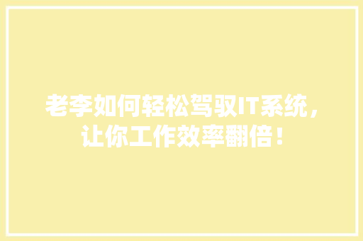 老李如何轻松驾驭IT系统，让你工作效率翻倍！
