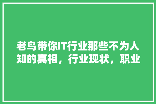 老鸟带你IT行业那些不为人知的真相，行业现状，职业发展密码！