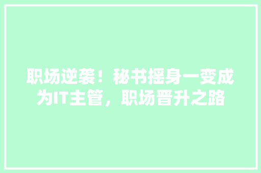 职场逆袭！秘书摇身一变成为IT主管，职场晋升之路