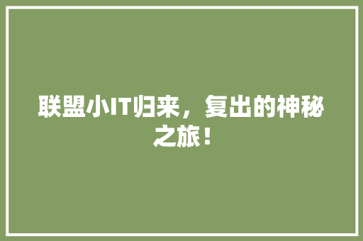 联盟小IT归来，复出的神秘之旅！ 网站建设