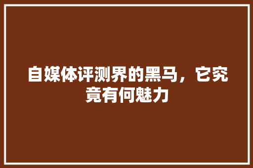 自媒体评测界的黑马，它究竟有何魅力 前端技术