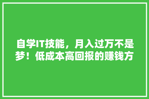 自学IT技能，月入过万不是梦！低成本高回报的赚钱方法 前端技术