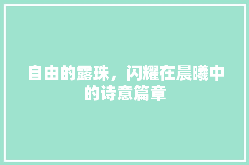 自由的露珠，闪耀在晨曦中的诗意篇章