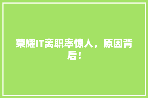荣耀IT离职率惊人，原因背后！