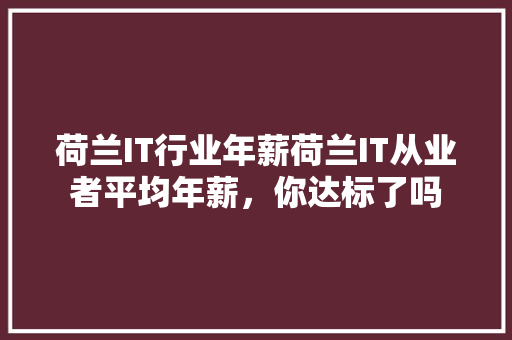荷兰IT行业年薪荷兰IT从业者平均年薪，你达标了吗