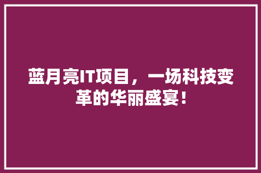 蓝月亮IT项目，一场科技变革的华丽盛宴！