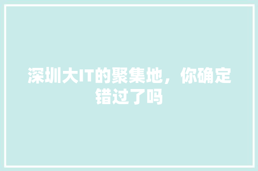 深圳大IT的聚集地，你确定错过了吗 项目报告