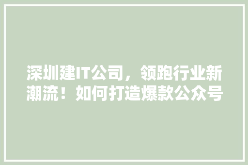 深圳建IT公司，领跑行业新潮流！如何打造爆款公众号！ 项目报告