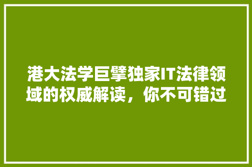 港大法学巨擘独家IT法律领域的权威解读，你不可错过的详细 项目报告