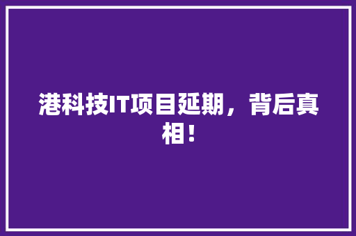 港科技IT项目延期，背后真相！ 前端技术