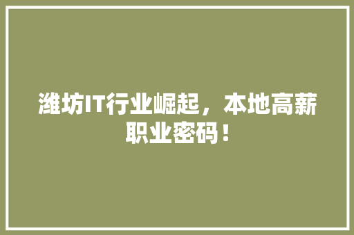 潍坊IT行业崛起，本地高薪职业密码！