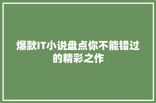 爆款IT小说盘点你不能错过的精彩之作 前端技术
