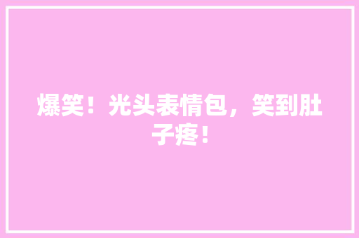 爆笑！光头表情包，笑到肚子疼！