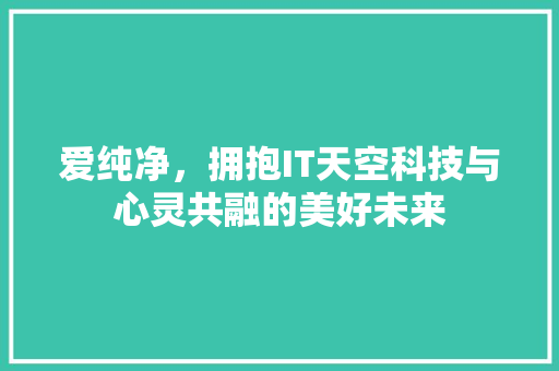 爱纯净，拥抱IT天空科技与心灵共融的美好未来