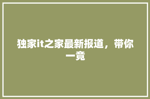独家it之家最新报道，带你一竟 前端技术