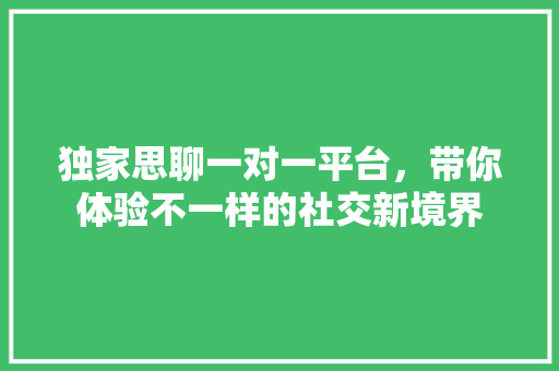 独家思聊一对一平台，带你体验不一样的社交新境界
