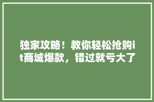 独家攻略！教你轻松抢购it商城爆款，错过就亏大了！