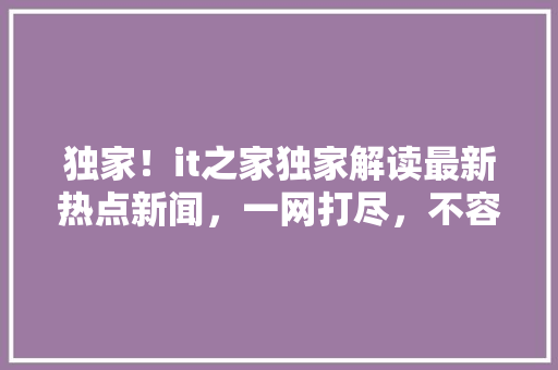 独家！it之家独家解读最新热点新闻，一网打尽，不容错过！ 项目报告