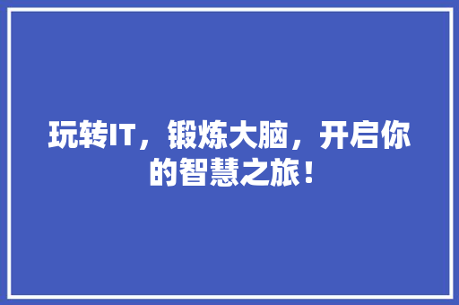玩转IT，锻炼大脑，开启你的智慧之旅！ 项目报告